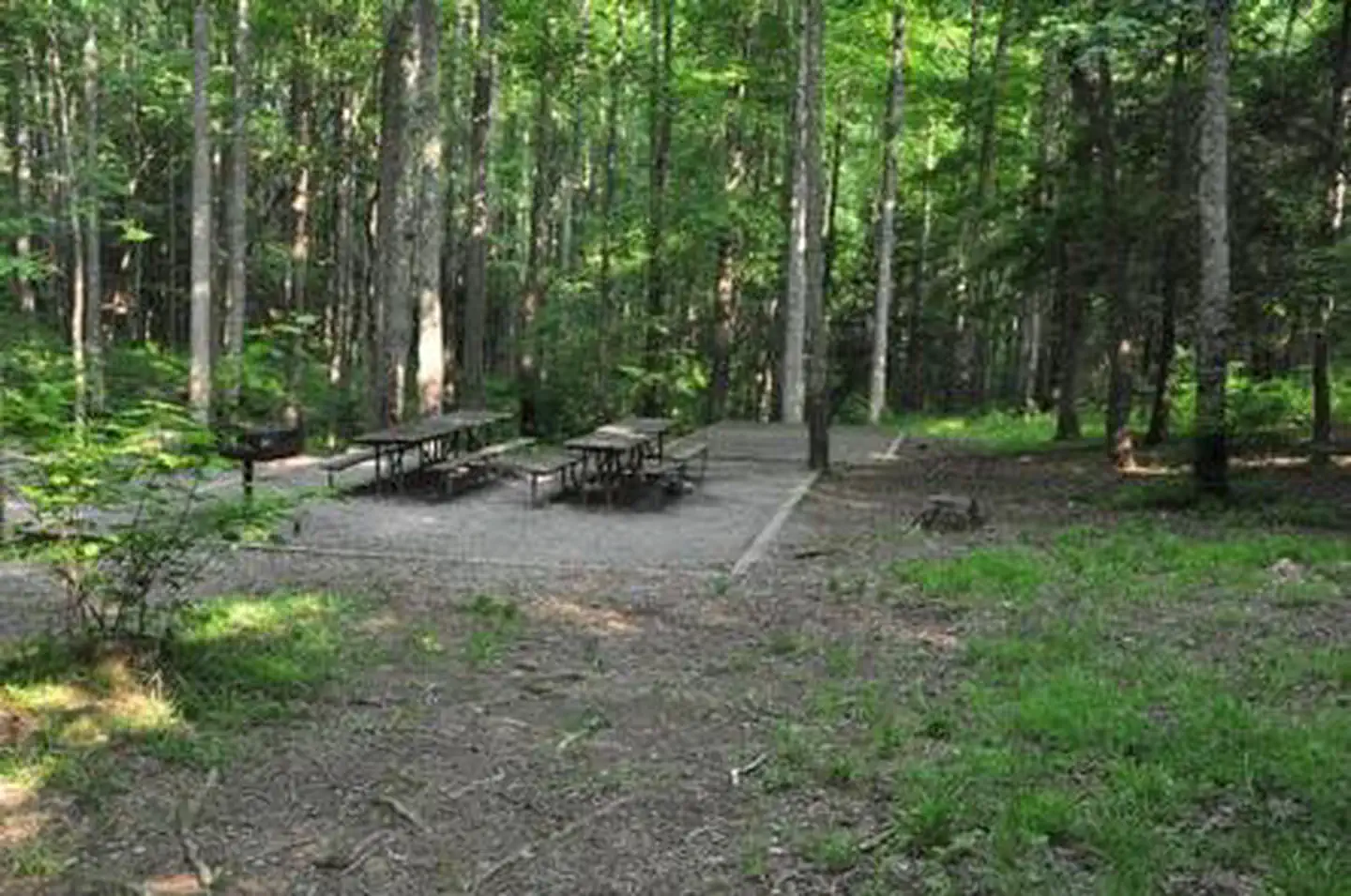 Elkmont Campground — ELKMONT GROUP CAMP