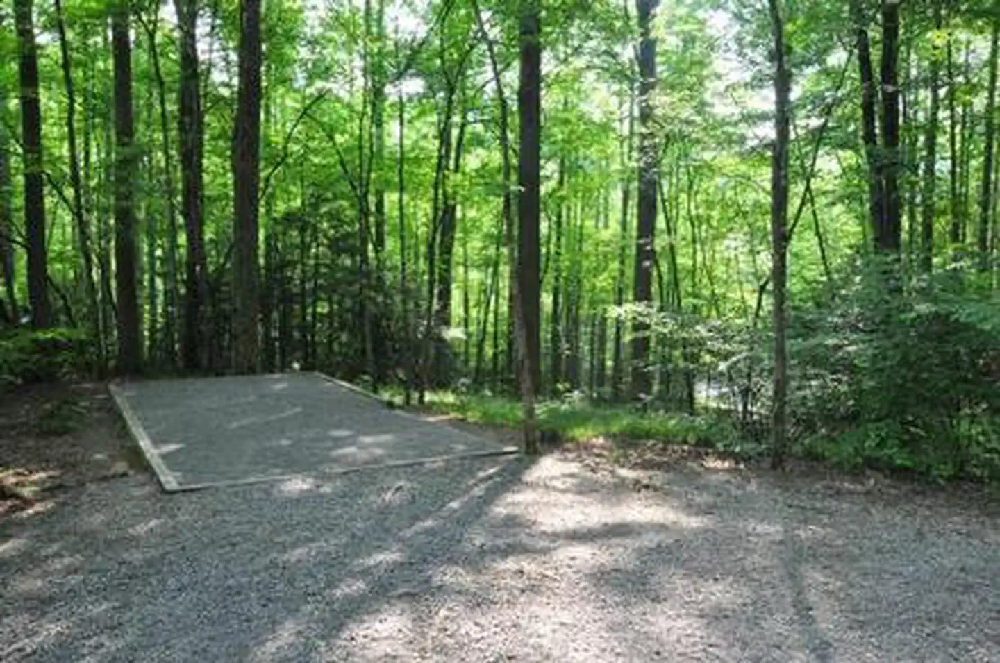 Elkmont Campground — ELKMONT GROUP CAMP