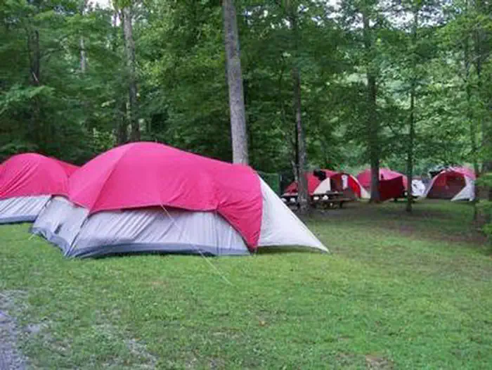Mcnabb Creek Group β Tents pitched in campground