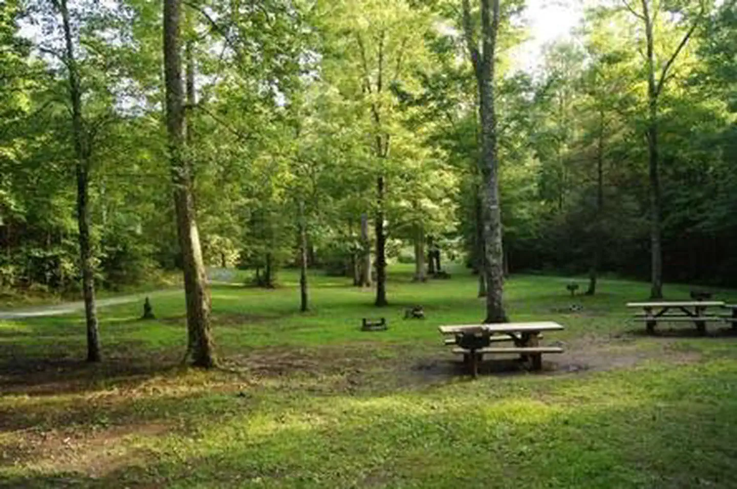 Mcnabb Creek Group β View of campground, tables and grills