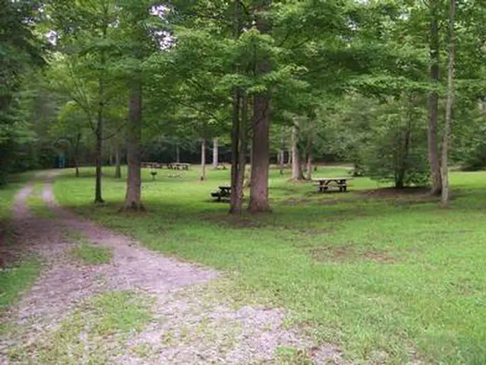 Mcnabb Creek Group β View from campground entrance