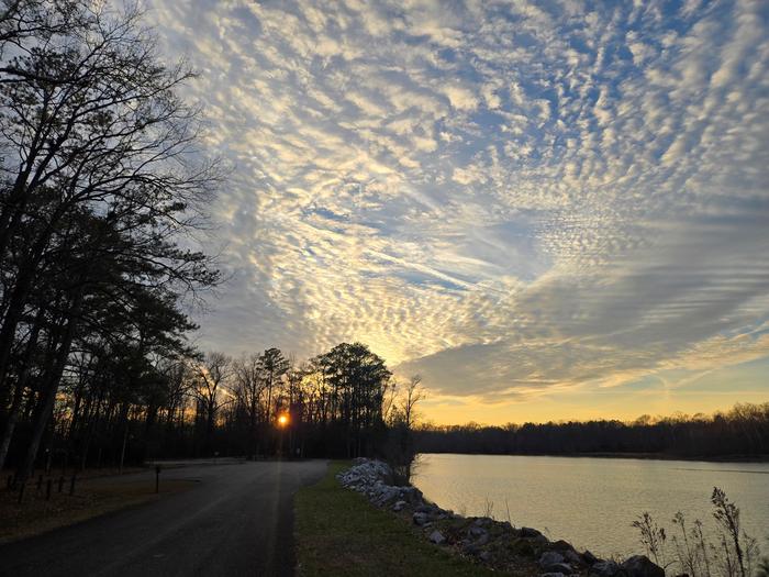 Jennings Ferry — JENNINGS FERRY