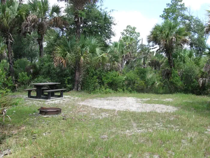 Gator Head Campground