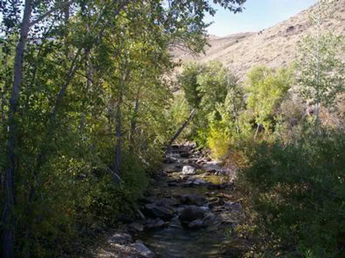 Powerhouse Group Picnic Area — POWERHOUSE GROUP PICNIC AREA