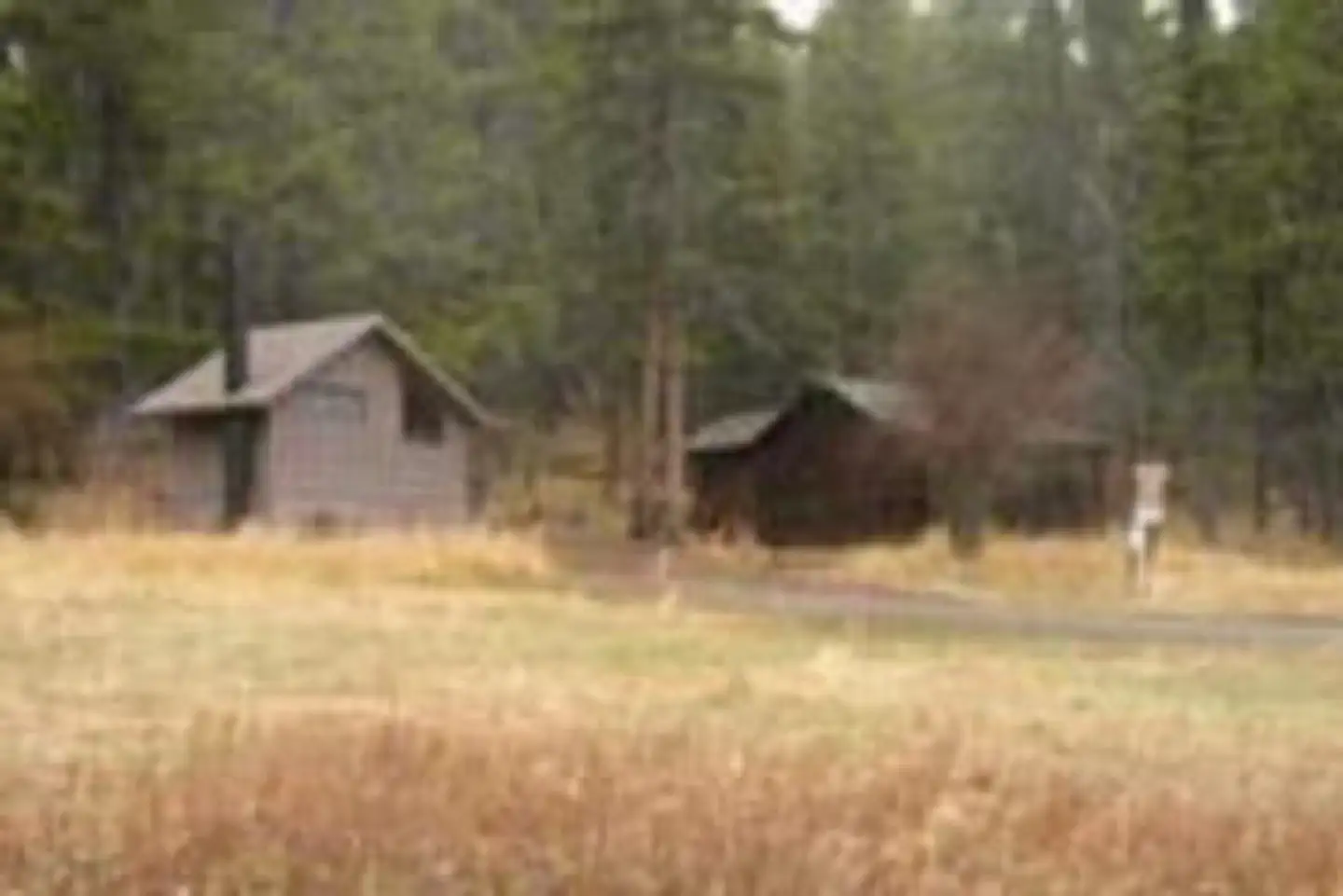 Kading Cabin — KADING CABIN