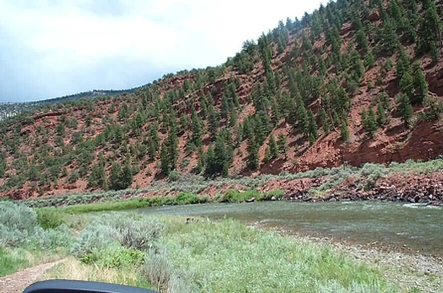 Cottonwood Site — Cottonwood Site 