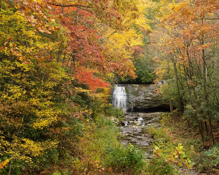 Cades Cove Campground — Fall Colors Near Cades Cove