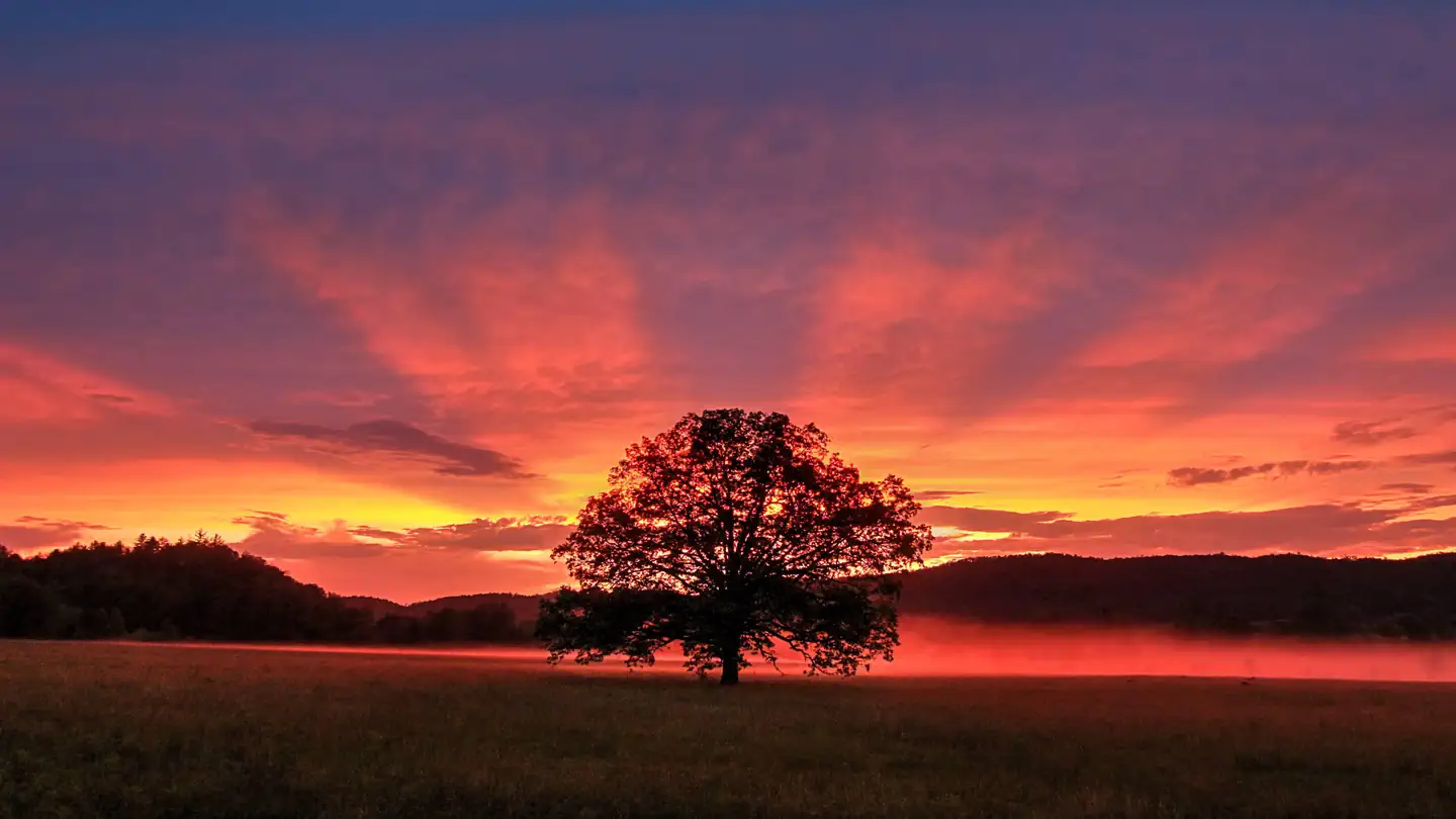 Cades Cove Campground — Dramatic Sunset From Cades Cove Loop Road