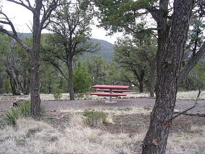 Pinon - Quemado Lake — Pinon Campground sample picnic table