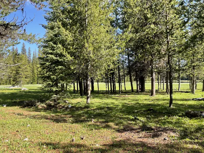 Mud Lake Campground β A photo of facility MUD LAKE CAMPGROUND with Shade, Waterfront
