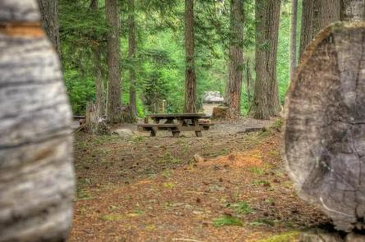 Adams Fork Campground — Adams Fork Campground