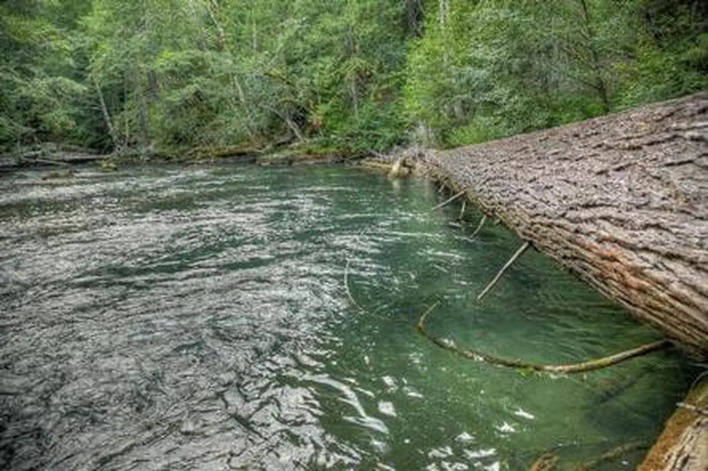 Adams Fork Campground — Adams Fork Campground