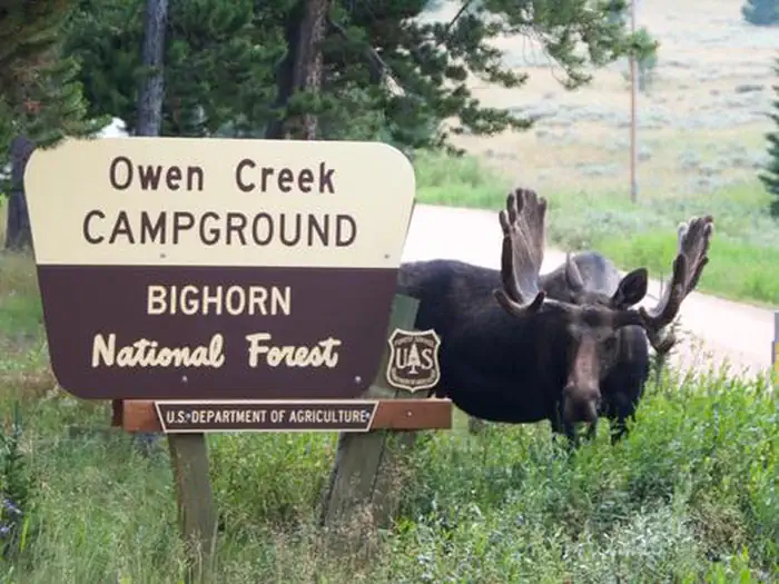 Owen Creek — Owen Creek Campground Main Entrance Sign