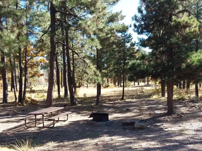 Mogollon Campground — Site 1