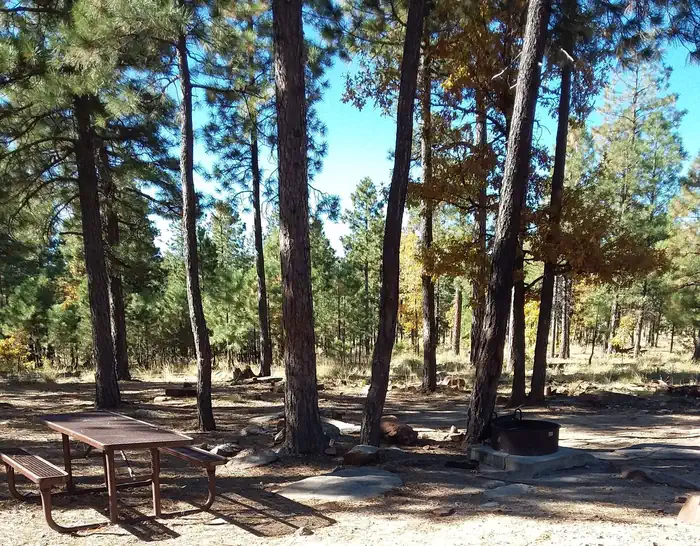 Mogollon Campground — Site 16