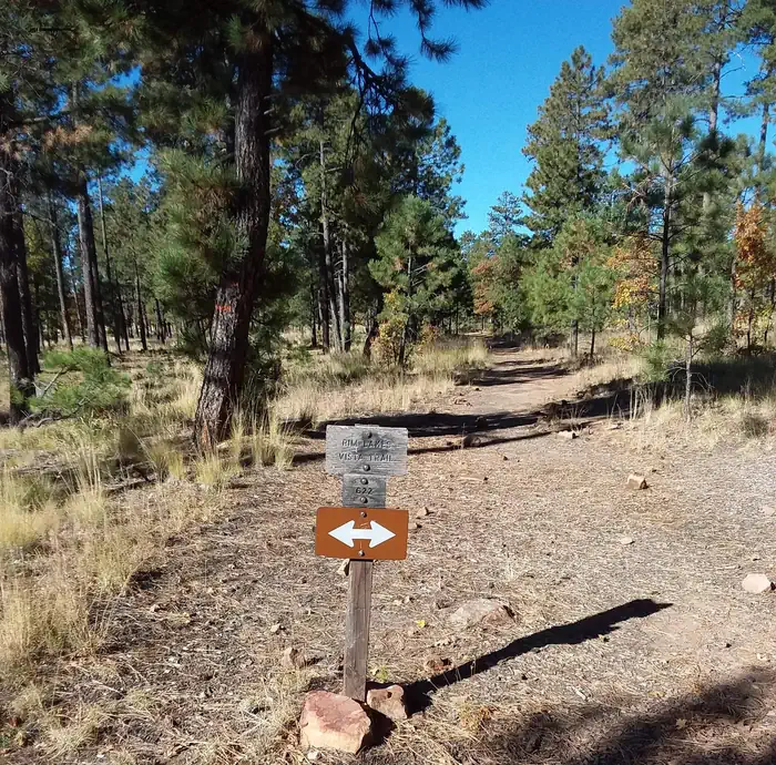 Mogollon Campground — Rim Lakes Vista Trail