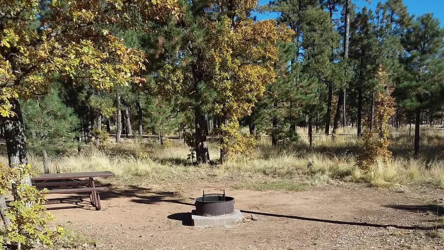Mogollon Campground