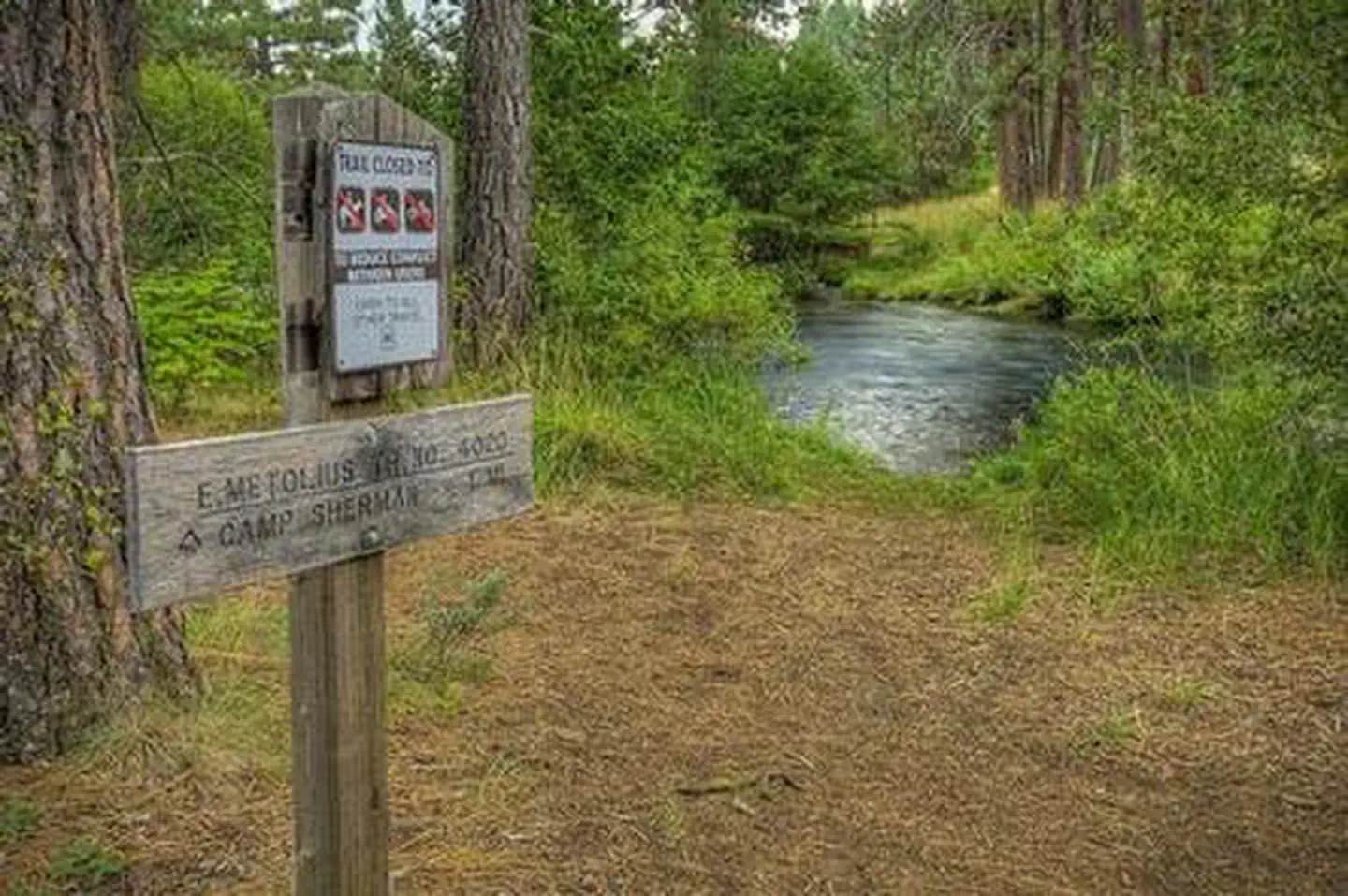 Allingham Campground β ALLINGHAM CAMPGROUND Sign