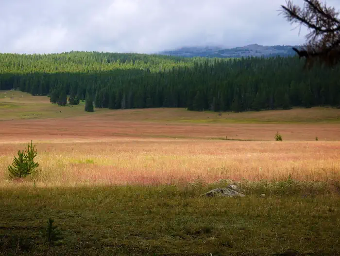 Sitting Bull Campground — Open field next to Sitting Bull Campground