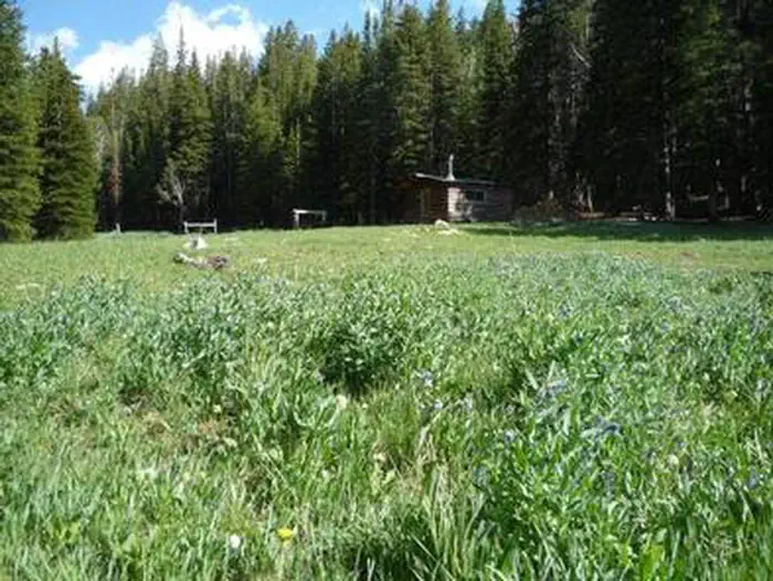 Notch Cabin — NOTCH CABIN