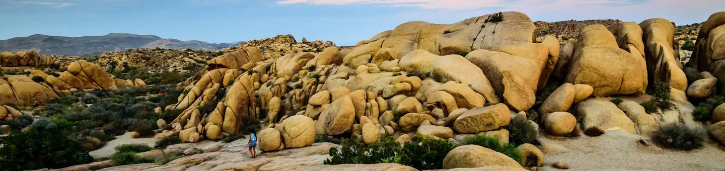 Jumbo Rocks Campground