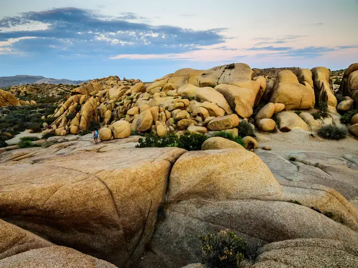 Jumbo Rocks Campground — Jumbo Rocks, Joshua Tree National Park