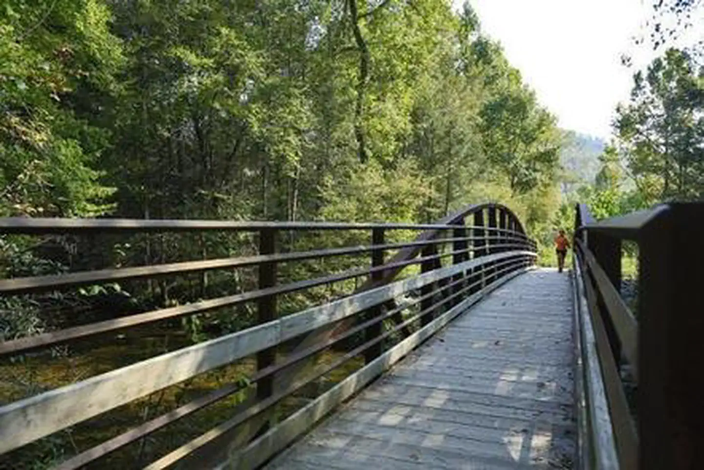 Davidson River Campground — DAVIDSON RIVER