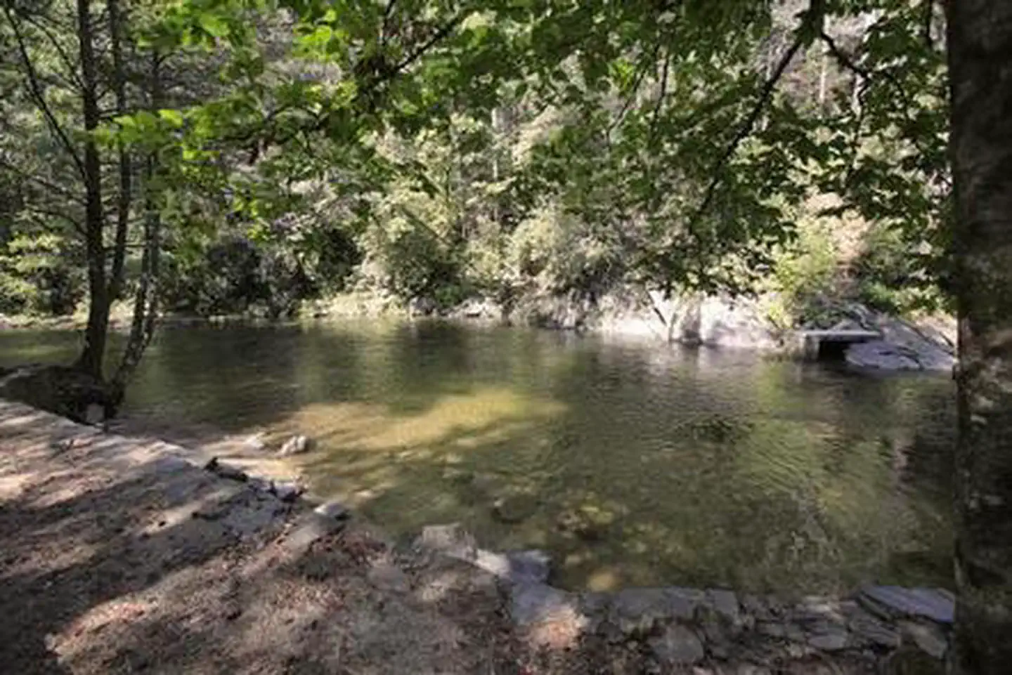 Davidson River Campground — DAVIDSON RIVER