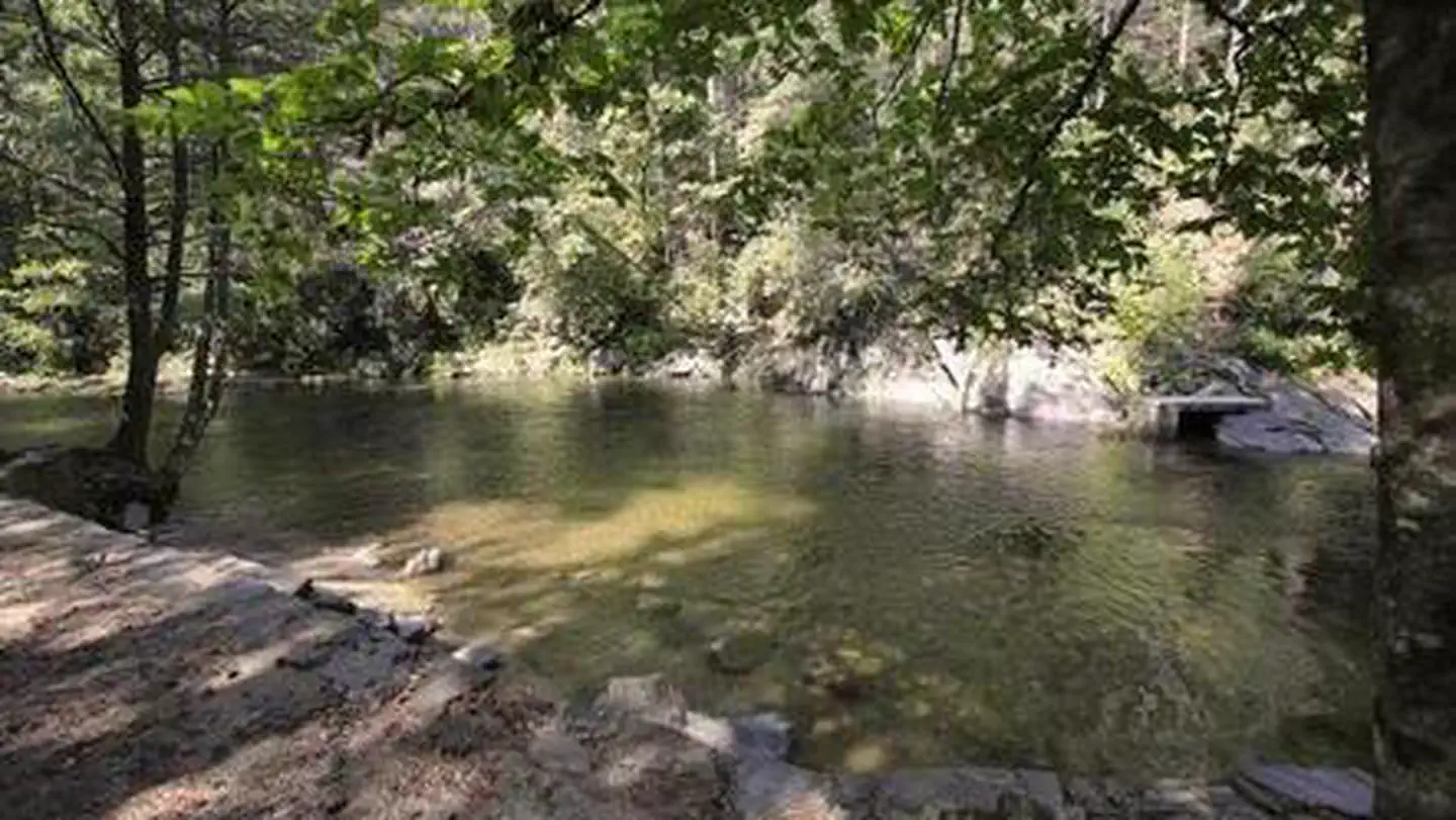 Davidson River Campground