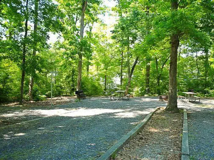 Badin Lake Campground — Site 006