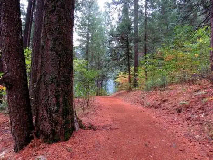 Bridal Veil Group Area And Picnic Ground — BRIDAL VEIL GROUP AREA AND PICNIC GROUND