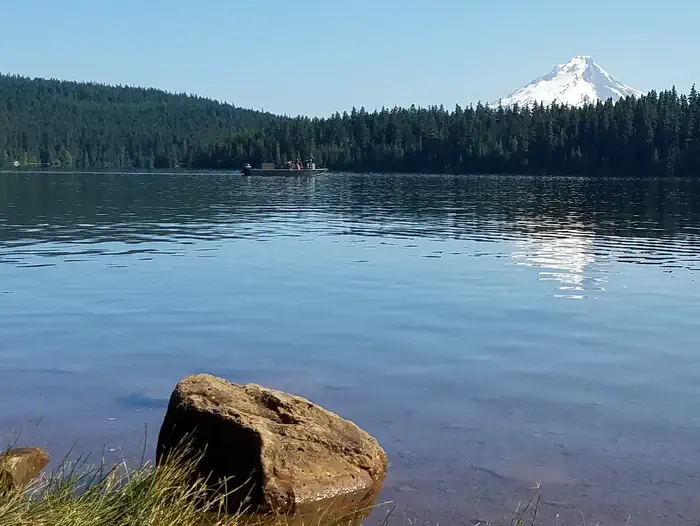 The Cove (Timothy Lake) Day-Use — View of Mount Hood from Gone Creek