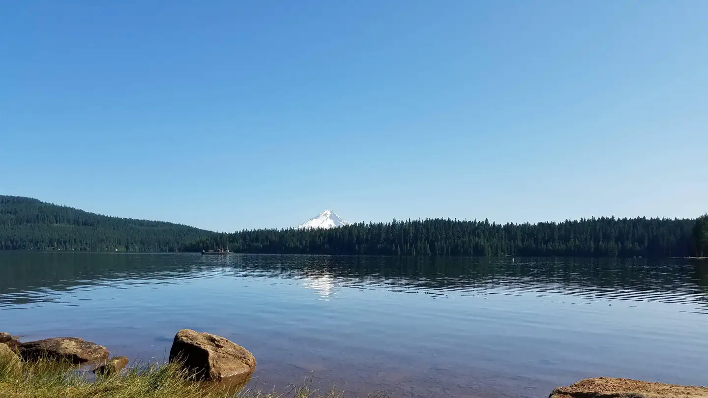 The Cove (Timothy Lake) Day-Use