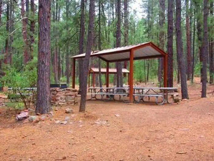 Reynolds Creek Group Campground β Reynolds Creek Group Campground