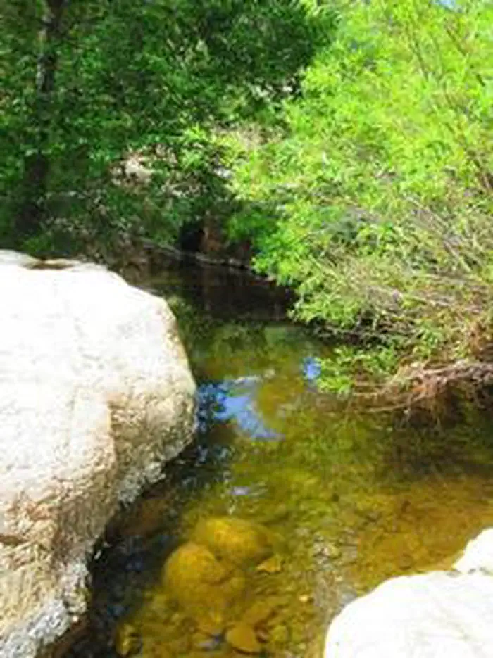Reynolds Creek Group Campground β REYNOLDS CREEK GROUP CAMPGROUND2