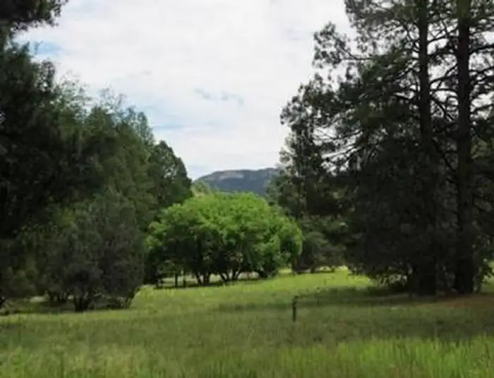 Reynolds Creek Group Campground β REYNOLDS CREEK GROUP CAMPGROUND
