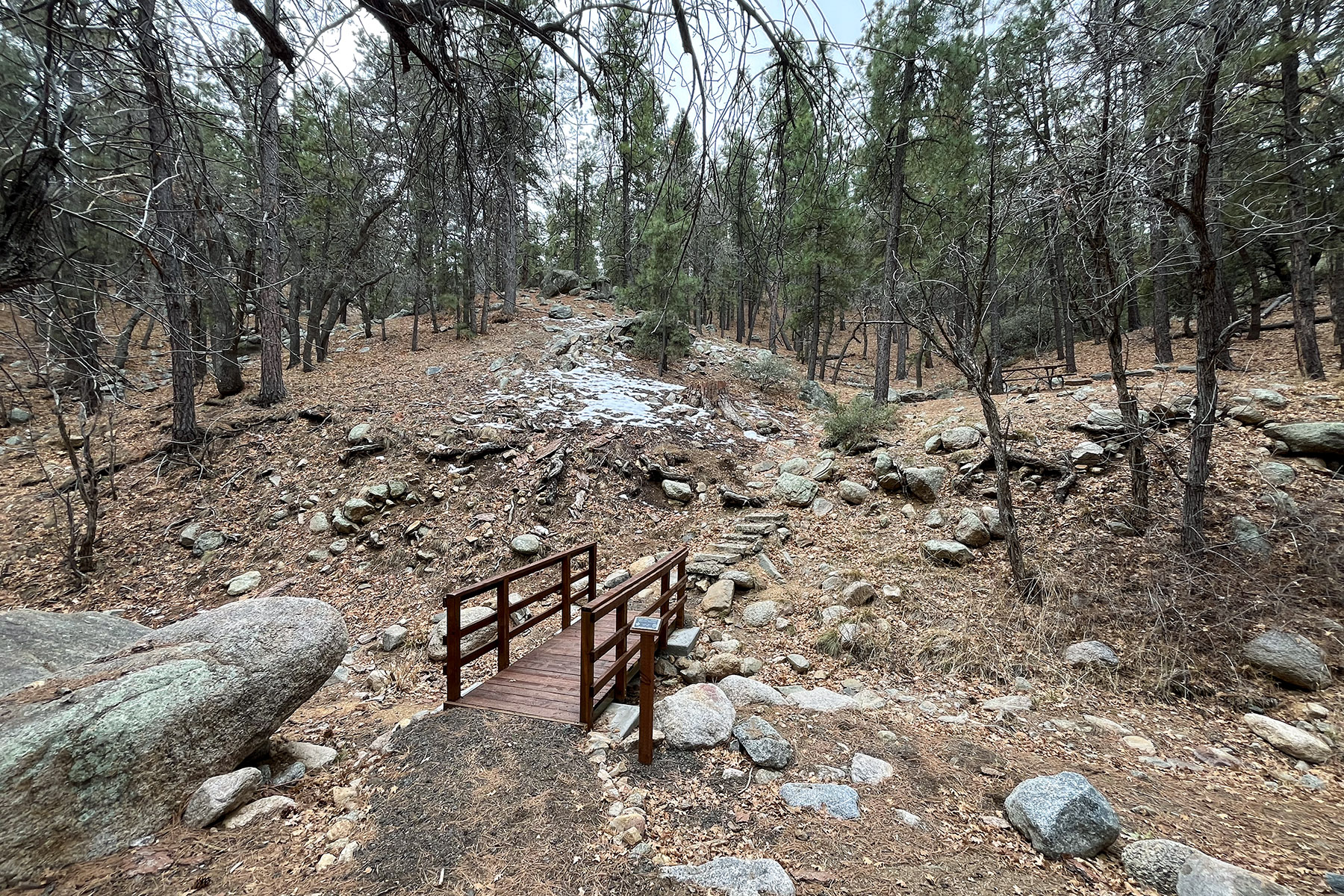 BLM Wild Cow Springs Recreation Area