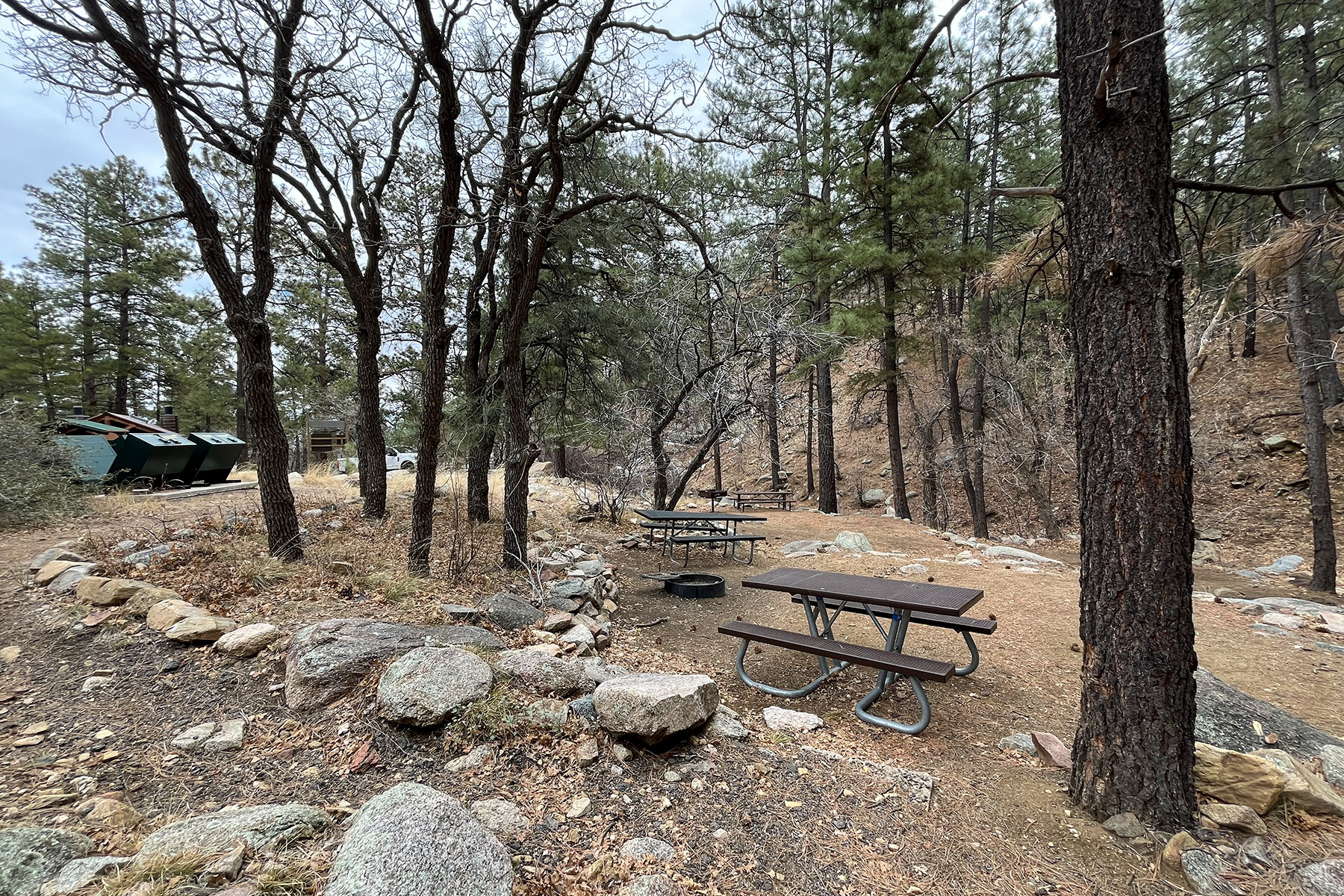 BLM Wild Cow Springs Recreation Area — Wild Cow Springs Campground picnic tables