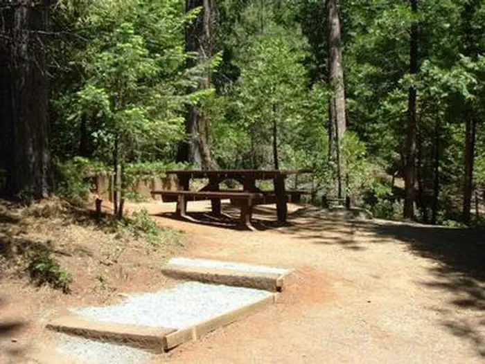 Shirttail Creek — SHIRTTAIL CREEK