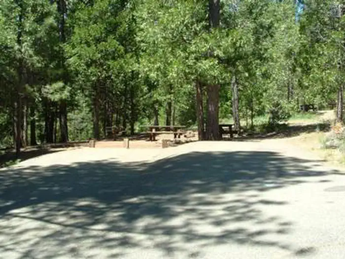 Shirttail Creek — SHIRTTAIL CREEK