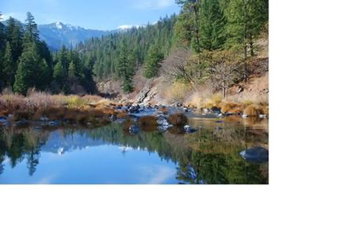 Indian Scotty Group Site — INDIAN SCOTTY GROUP SITE
