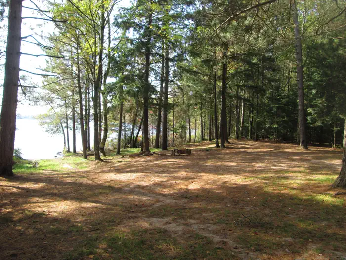 Chicago Lake Dispersed Campsite — Chicago Lake Campsite