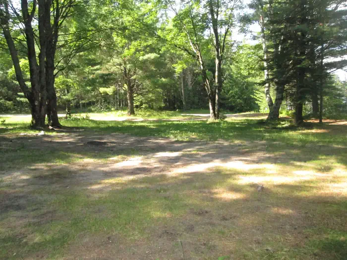 Chicago Lake Dispersed Campsite — Chicago Lake - Sites