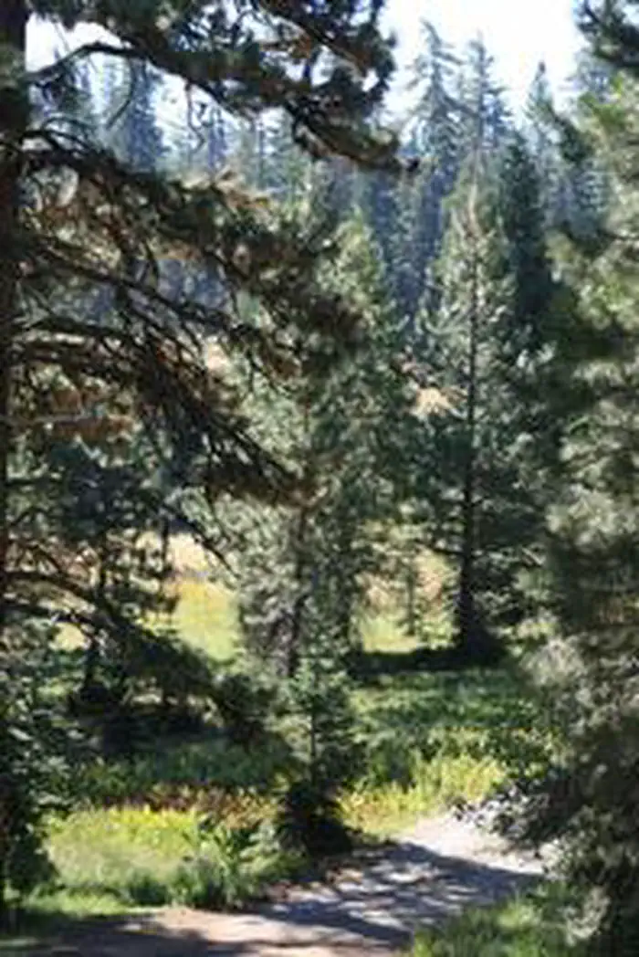 Matterson Group Campground — MASTERSON GROUP CAMPGROUND