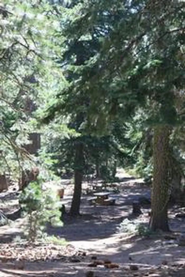 Matterson Group Campground — MASTERSON GROUP CAMPGROUND