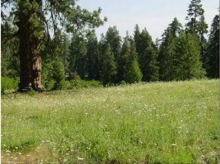 Matterson Group Campground — MASTERSON GROUP CAMPGROUND