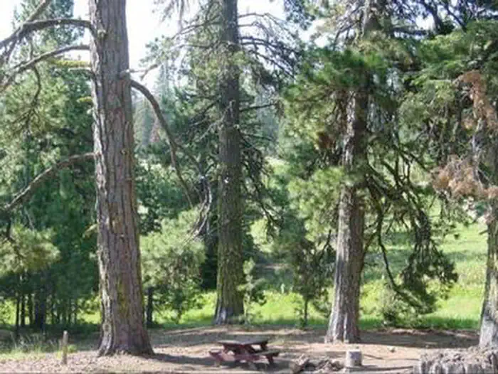 Matterson Group Campground — MASTERSON GROUP CAMPGROUND