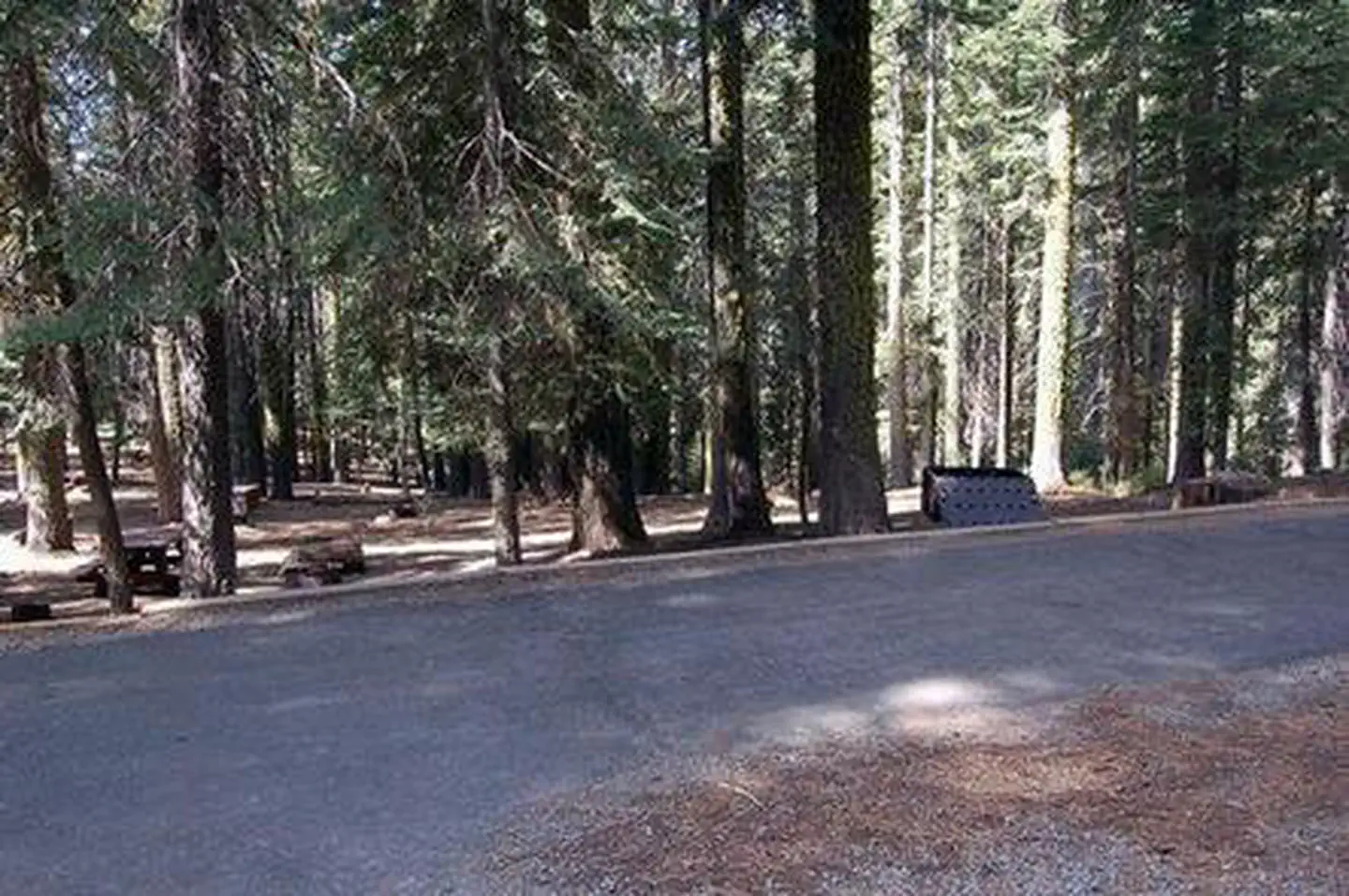 Pass Creek Campground — PASS CREEK CAMPGROUND