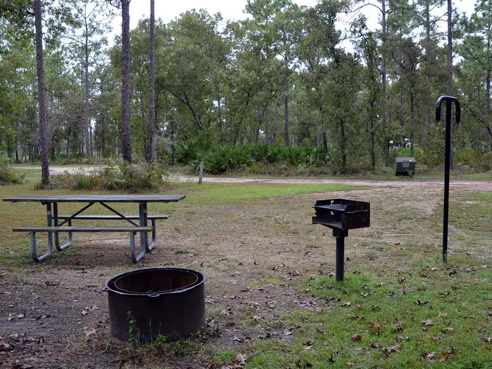 Camel Lake Campground — CAMEL LAKE CAMPSITE