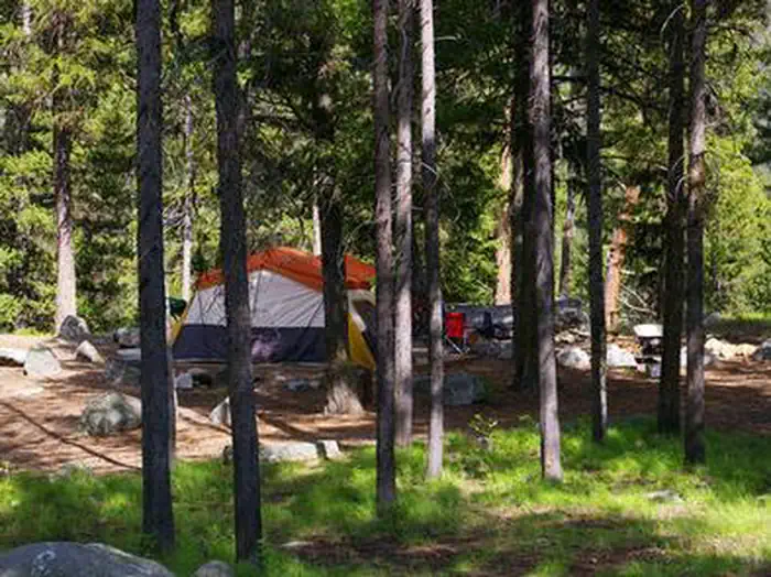 Picnic Point (id) — PICNIC POINT (ID)